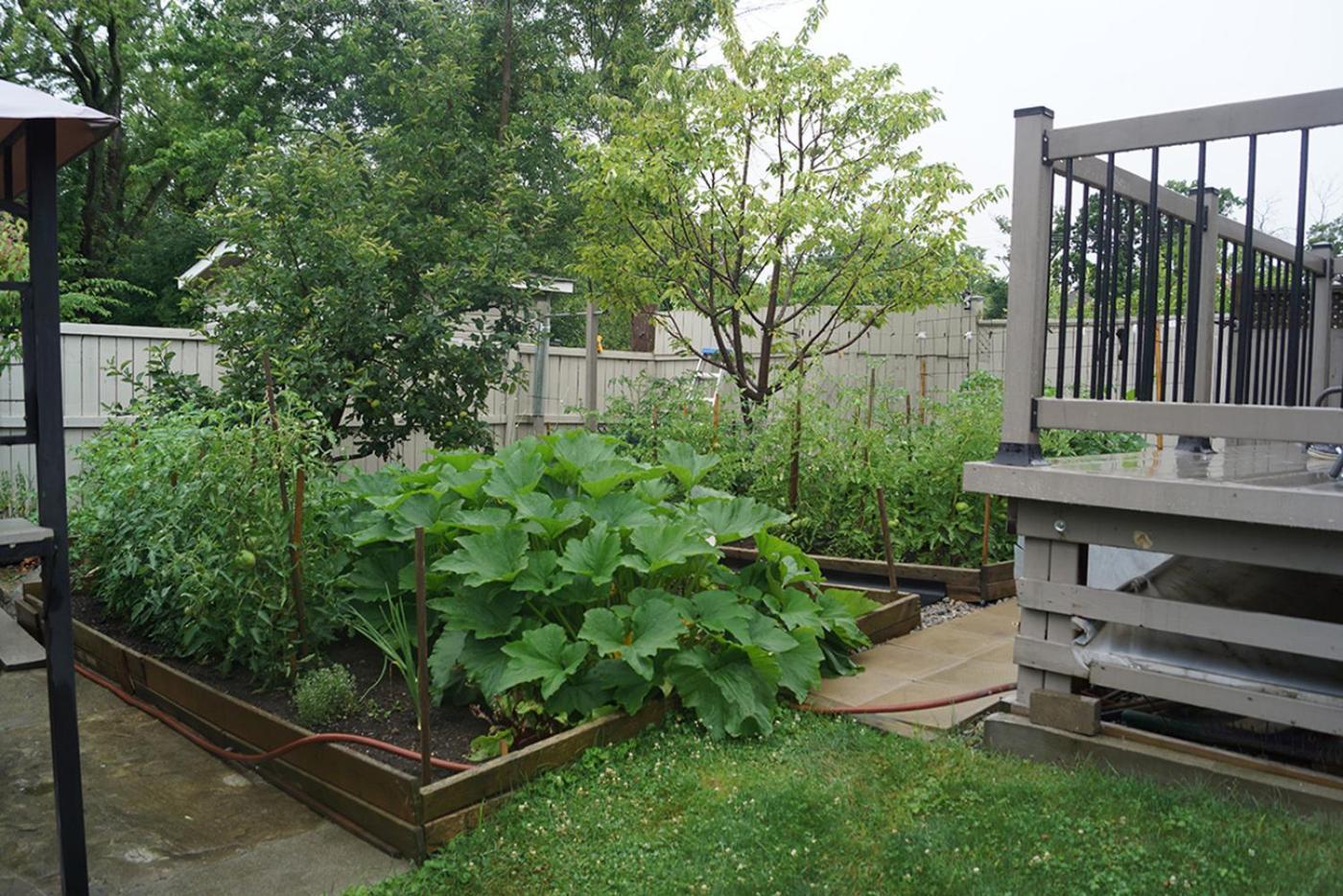 Pelican Guest House. Village Style Living. Spend Vacation Time In Eco Place! Fort Erie Exterior foto